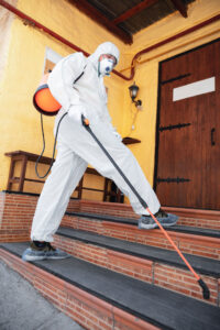 villa ilaçlama müstakil ev kiralama izmir kirazoglu ilaçlama